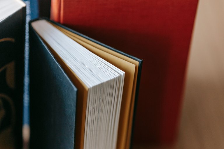Hardcover books standing upright on a light wooden table, their fore-edges to the camera.